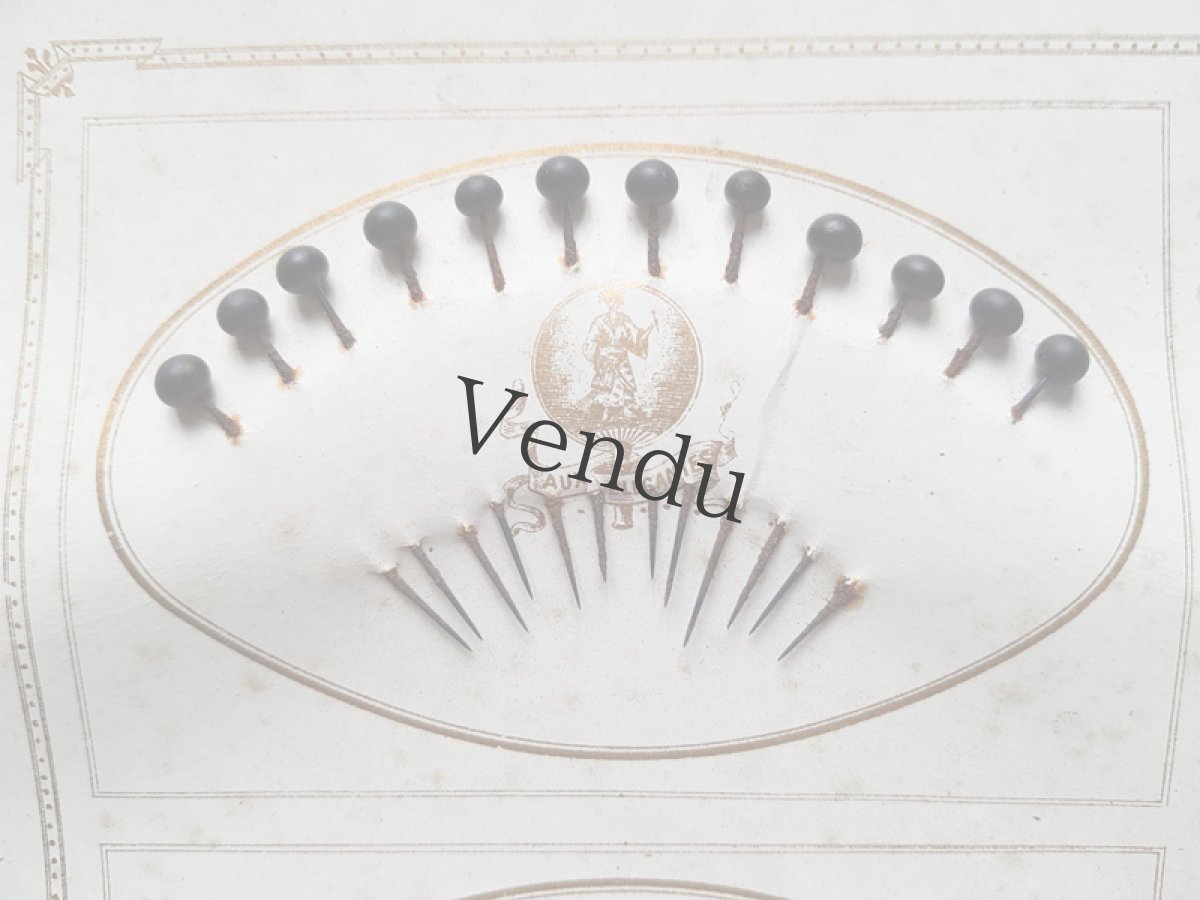 画像4: フランスアンティーク　美しい台紙のエパングルセット (4)