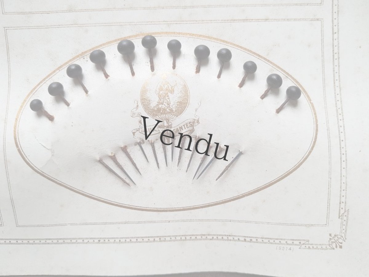 画像6: フランスアンティーク　美しい台紙のエパングルセット (6)