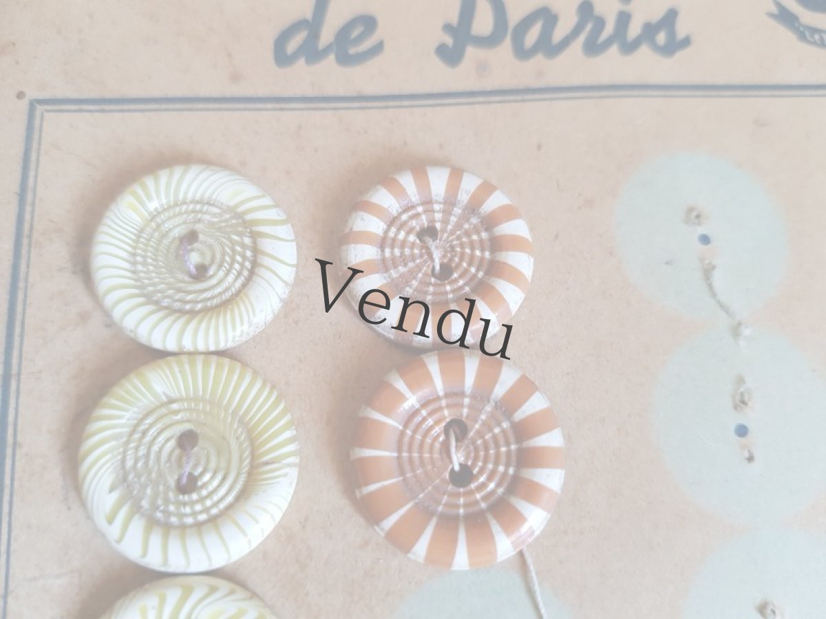 画像3: フランスアンティーク　ガラリット（カゼイン）ボタン 18mm (3)