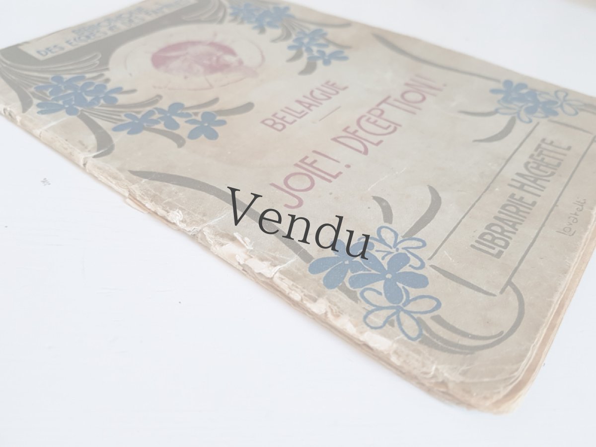 画像7: フランスアンティーク　HACHETTE社の本 (7)