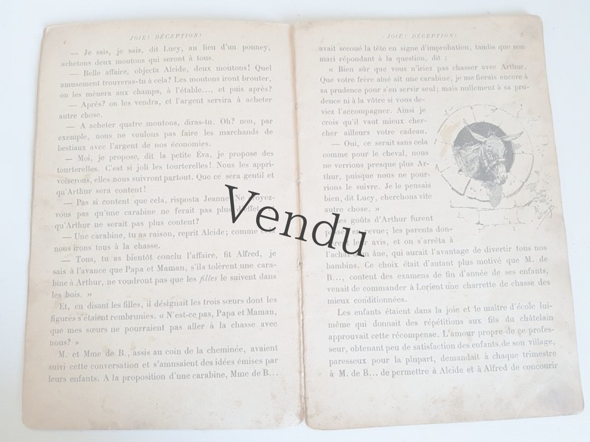 画像4: フランスアンティーク　HACHETTE社の本 (4)