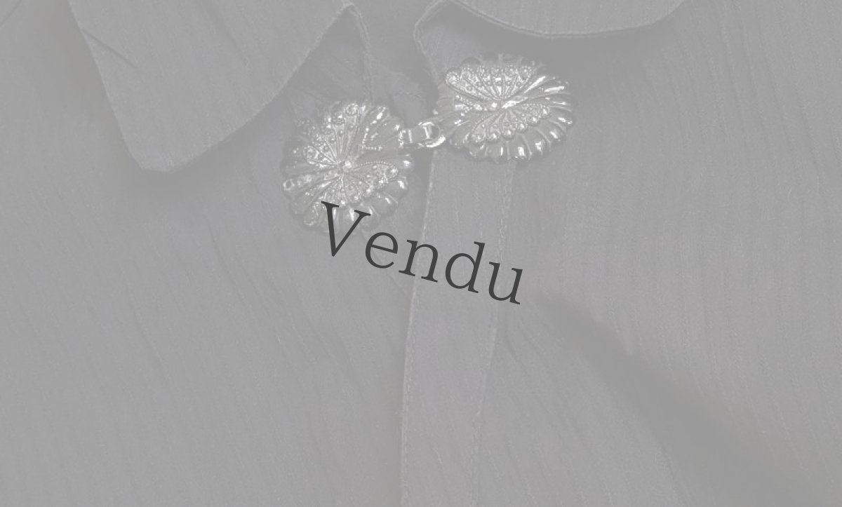 画像5: アンティーク　ベルエポック時代パピヨンの Boucles de cape（ブックル ド カプ） (5)