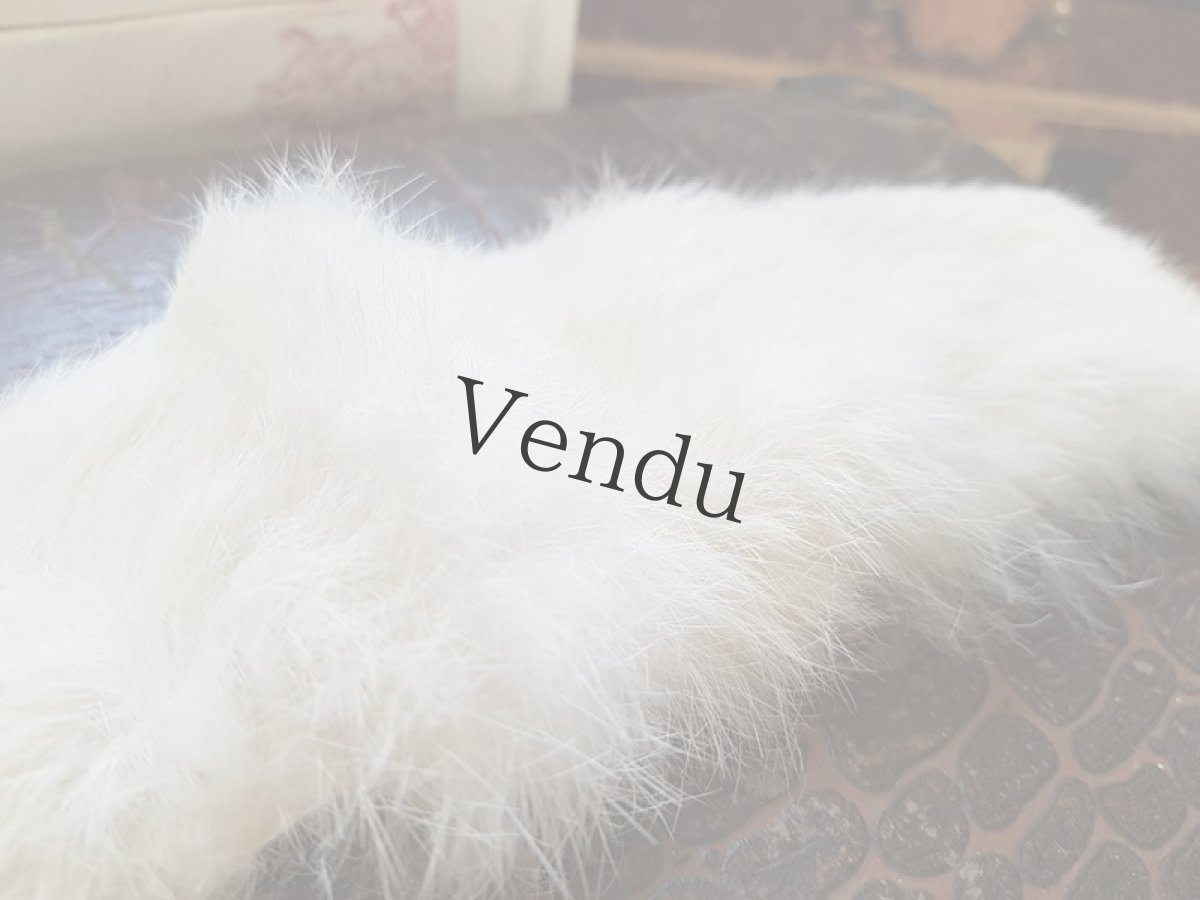 画像6: ヴィンテージ　白いファー (6)