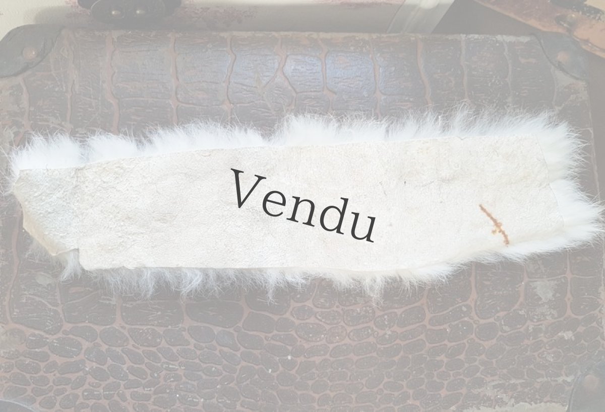 画像7: ヴィンテージ　白いファー (7)