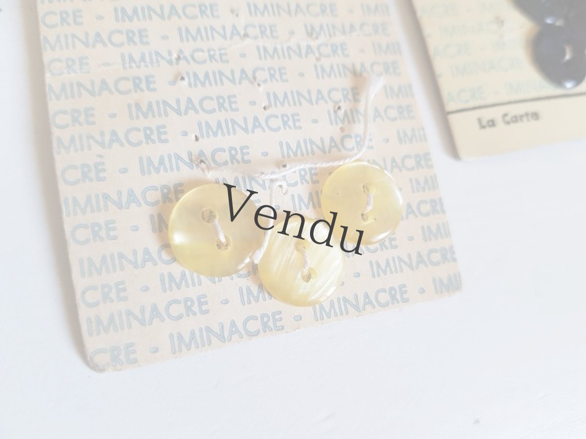 画像3: フランスヴィンテージ　Iminacre社の動物柄ボタンシートセット (3)