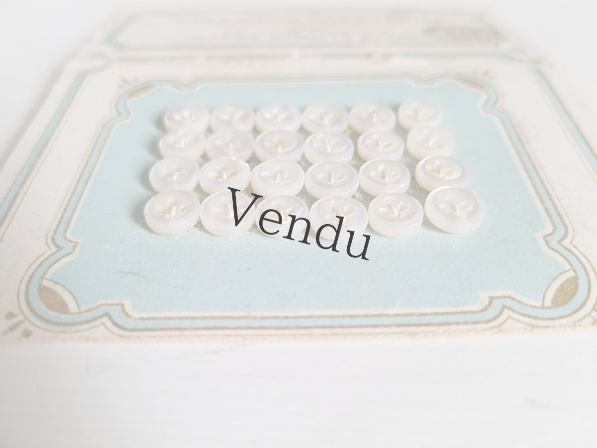 画像6: フランスアンティーク　GALERIES LAFAYETTEのドール用貝ボタンシート (6)