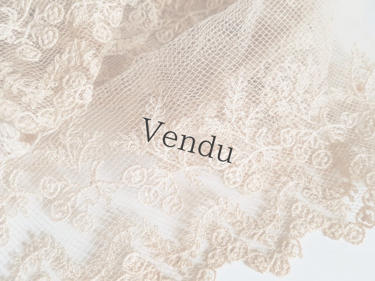 画像2: フランスアンティーク　チュール刺繍レースの端切れ (2)