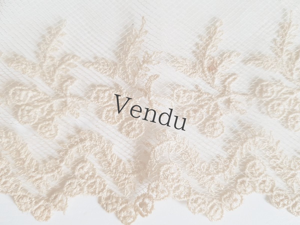 画像5: フランスアンティーク　チュール刺繍レースの端切れ (5)