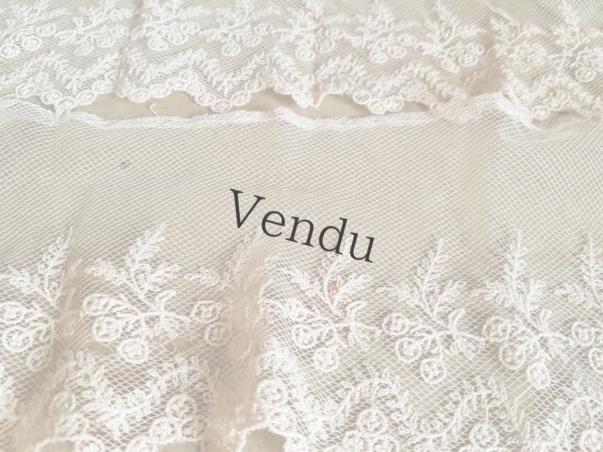 画像6: フランスアンティーク　チュール刺繍レースの端切れ (6)