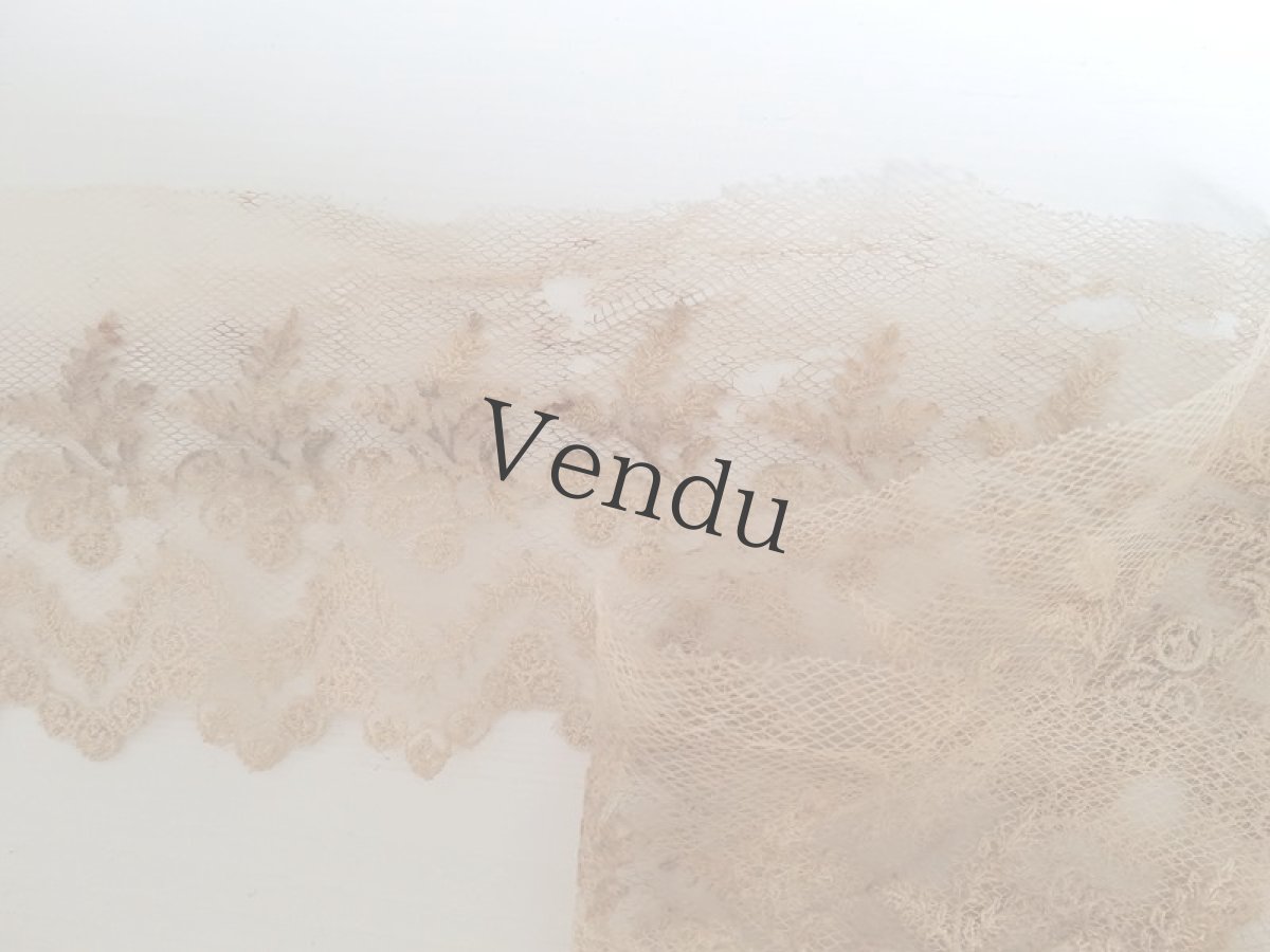 画像8: フランスアンティーク　チュール刺繍レースの端切れ (8)