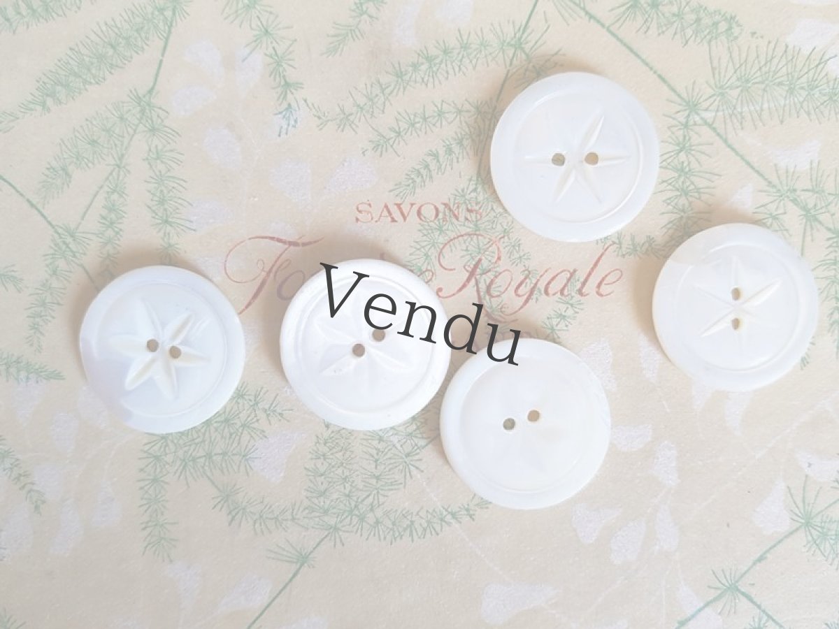 画像4: フランスアンティーク　きれいなカットの貝ボタン18mm ５個セット (4)