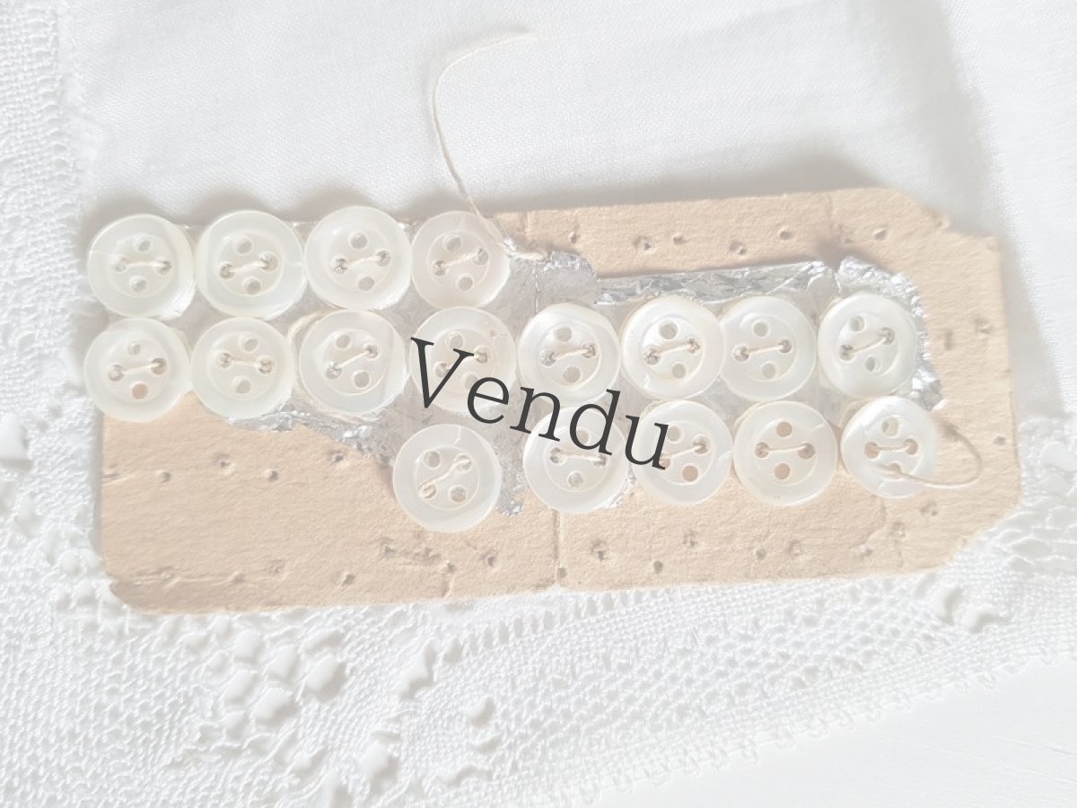 画像2: フランスアンティーク　貝ボタンシート9ｍｍ (2)