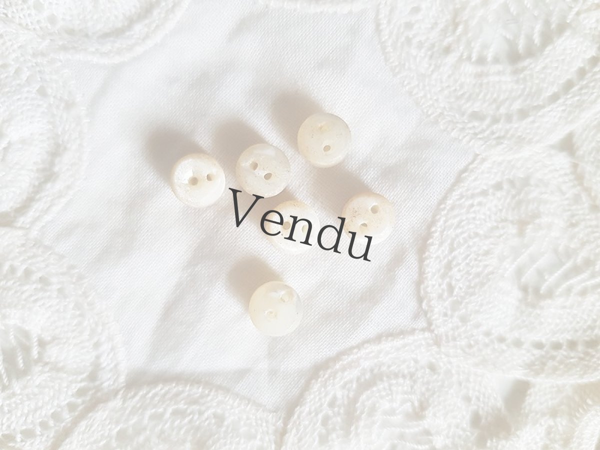 画像6: フランスアンティーク　ドール用ちいさな貝ボタン6mm ３種セット (6)