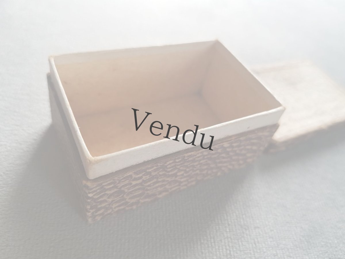 画像5: フランスアンティーク　ファーマシーボックス (5)