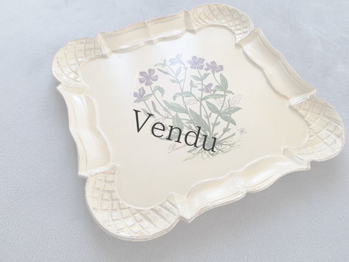 画像2: フランスヴィンテージ　プラト― 蔓日々草 (2)