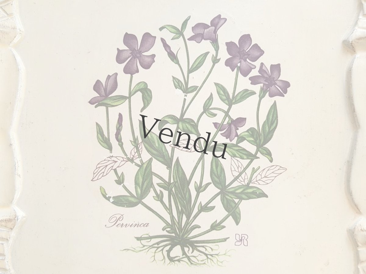 画像3: フランスヴィンテージ　プラト― 蔓日々草 (3)