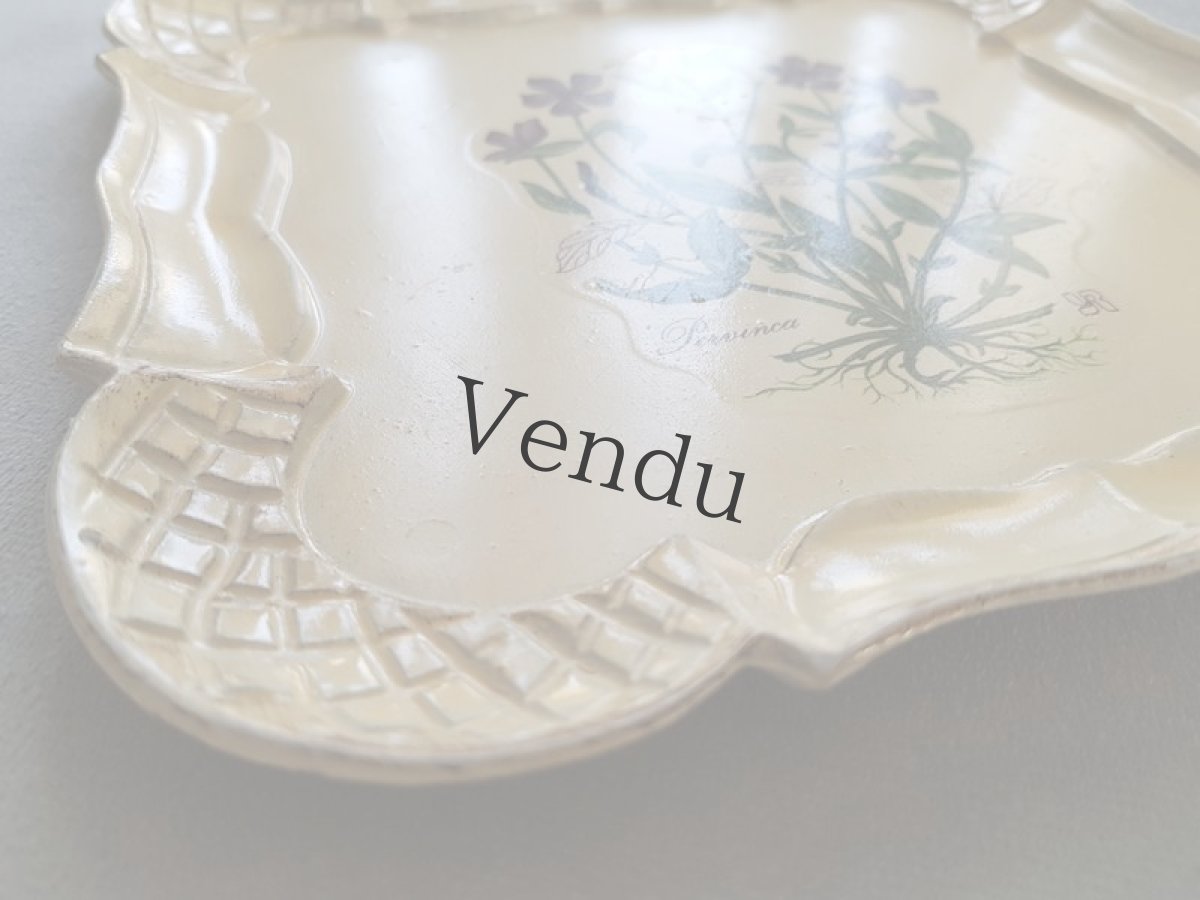 画像4: フランスヴィンテージ　プラト― 蔓日々草 (4)