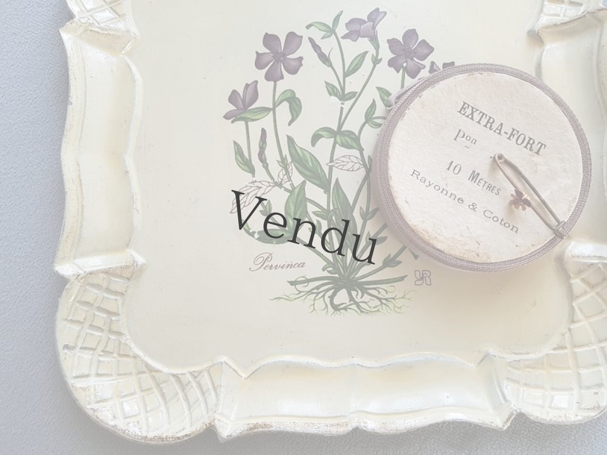 画像6: フランスヴィンテージ　プラト― 蔓日々草 (6)