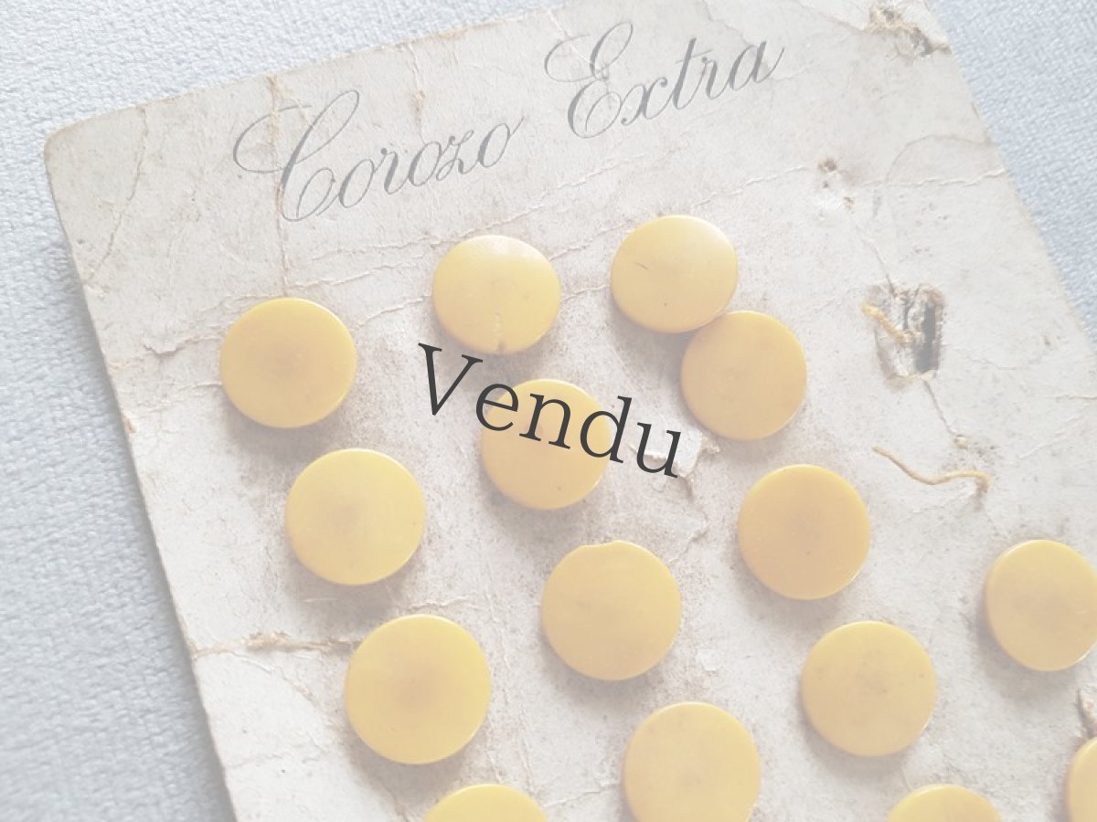 画像3: フランスアンティーク　19世紀前後コロゾのボタンシート (3)