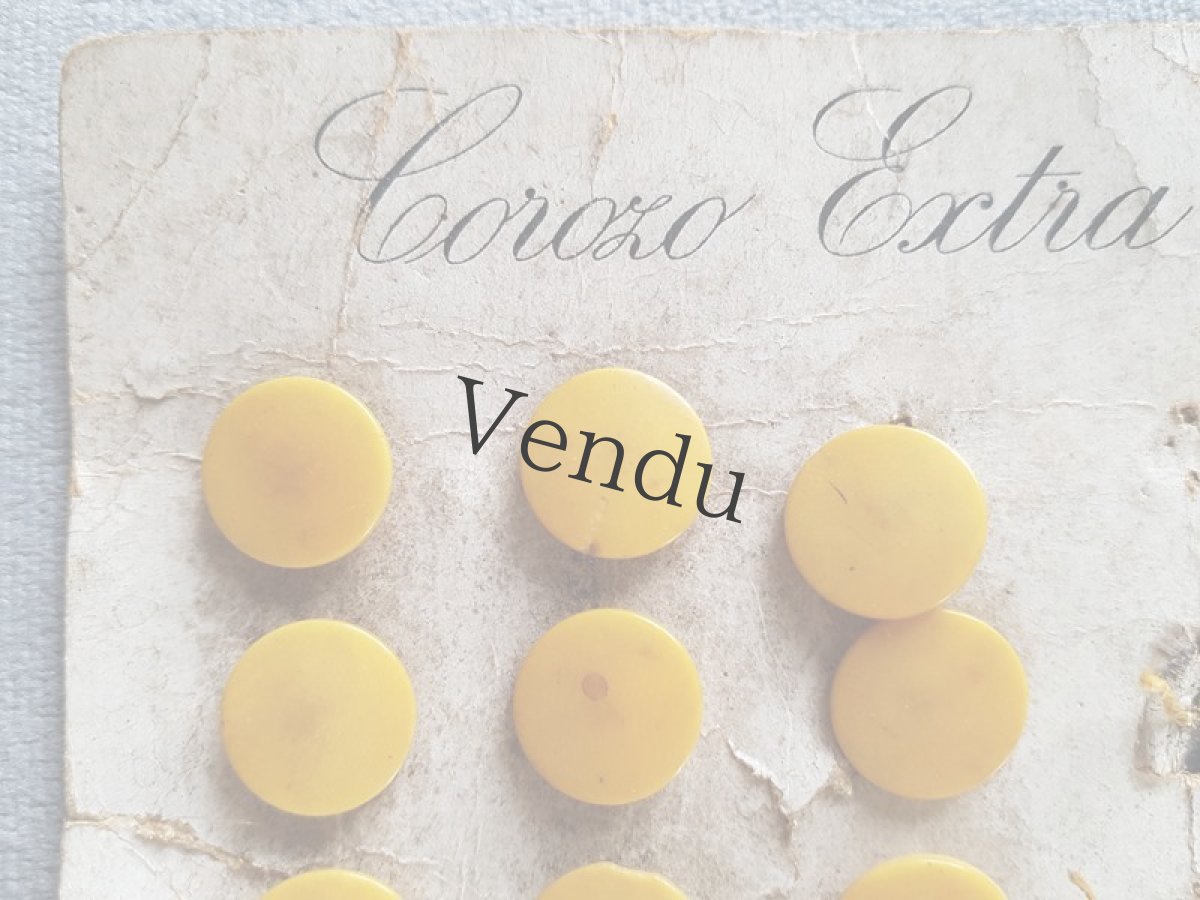 画像4: フランスアンティーク　19世紀前後コロゾのボタンシート (4)