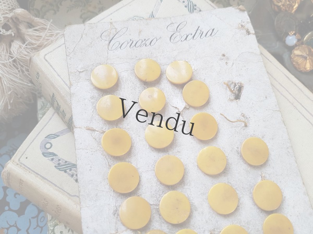 画像7: フランスアンティーク　19世紀前後コロゾのボタンシート (7)