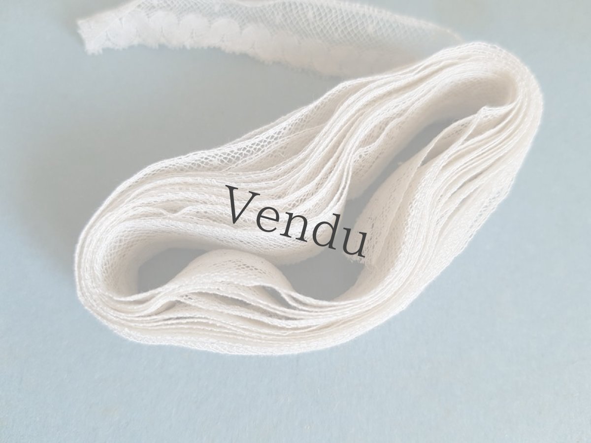 画像3: フランスアンティーク　わずかにドットのチュールレース 237cm (3)