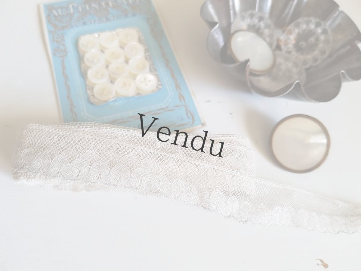 画像5: フランスアンティーク　わずかにドットのチュールレース 237cm (5)