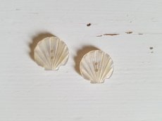 画像3: フランスアンティーク　貝のかたちの貝ボタン13mm (3)