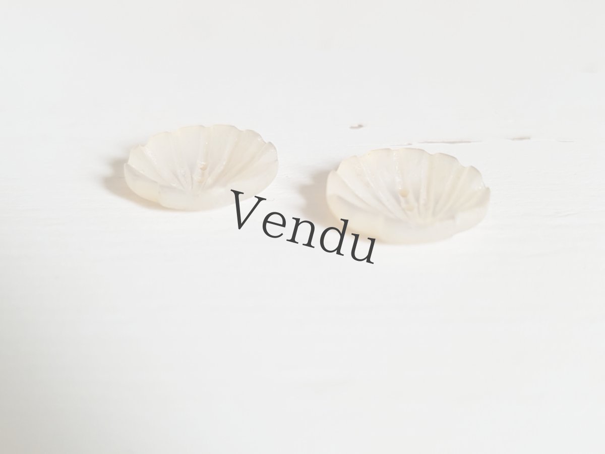 画像5: フランスアンティーク　貝のかたちの貝ボタン13mm (5)