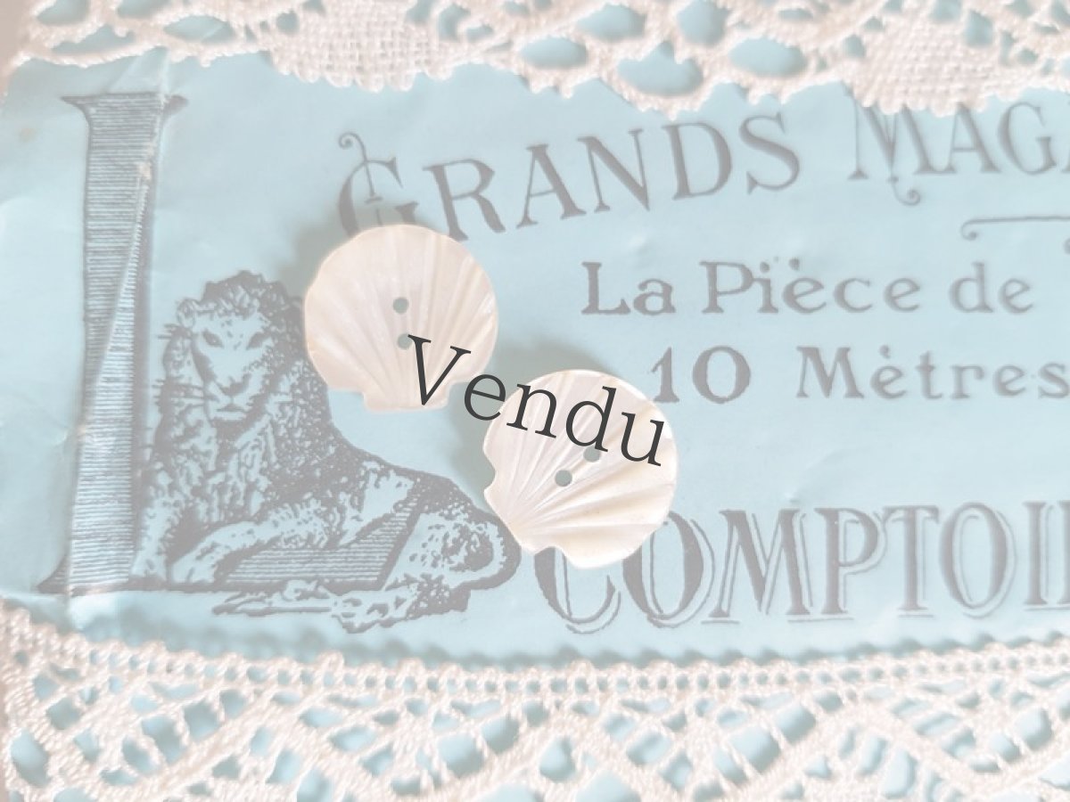 画像2: フランスアンティーク　貝のかたちの貝ボタン13mm (2)