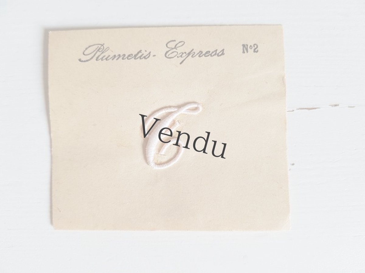 画像1: フランスアンティーク　Plumetis Express No.2 刺繍用モノグラム「T」 (1)