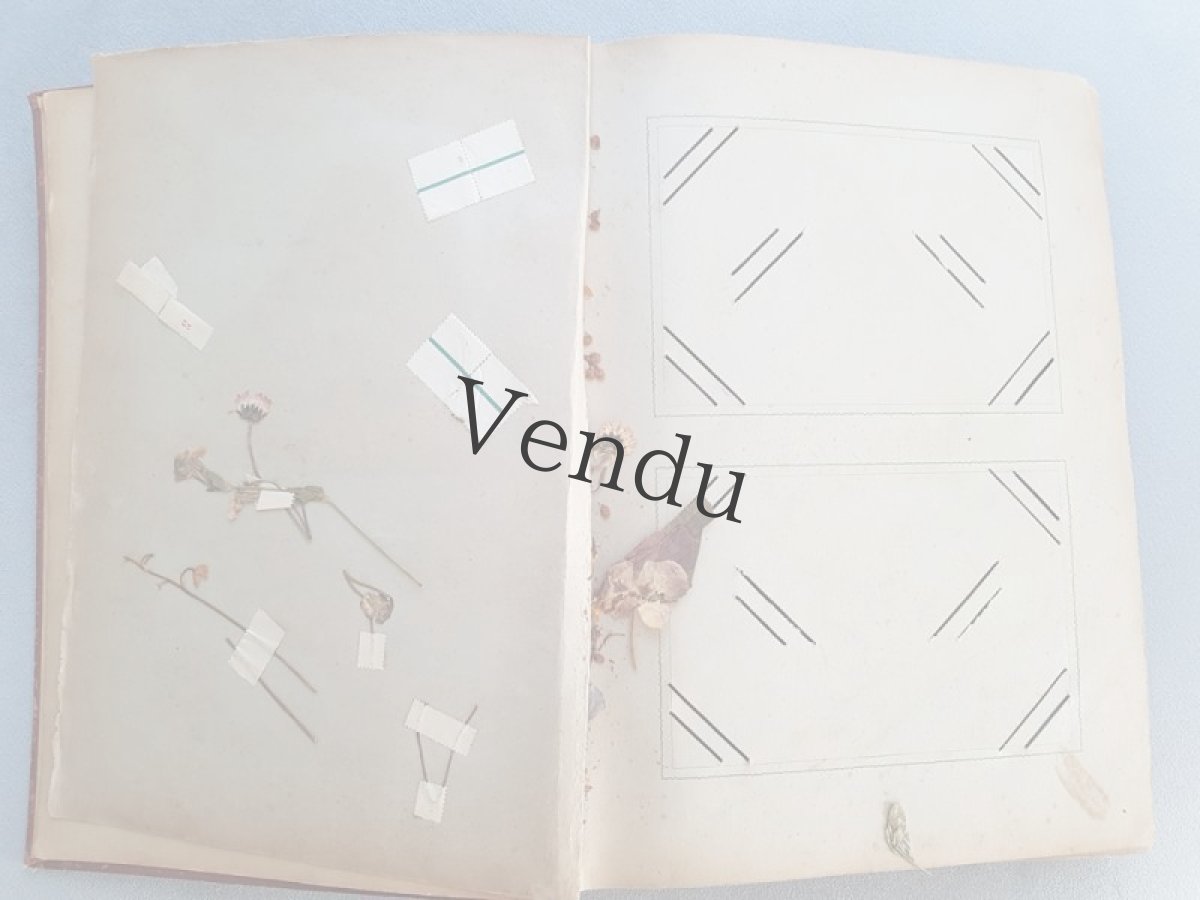 画像5: フランスアンティーク 1902年  ポストカードアルバム (5)