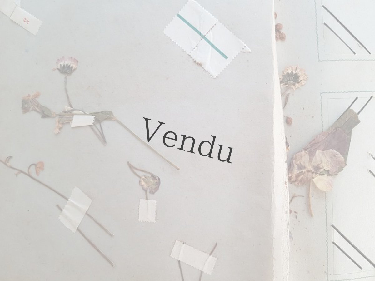 画像6: フランスアンティーク 1902年  ポストカードアルバム (6)