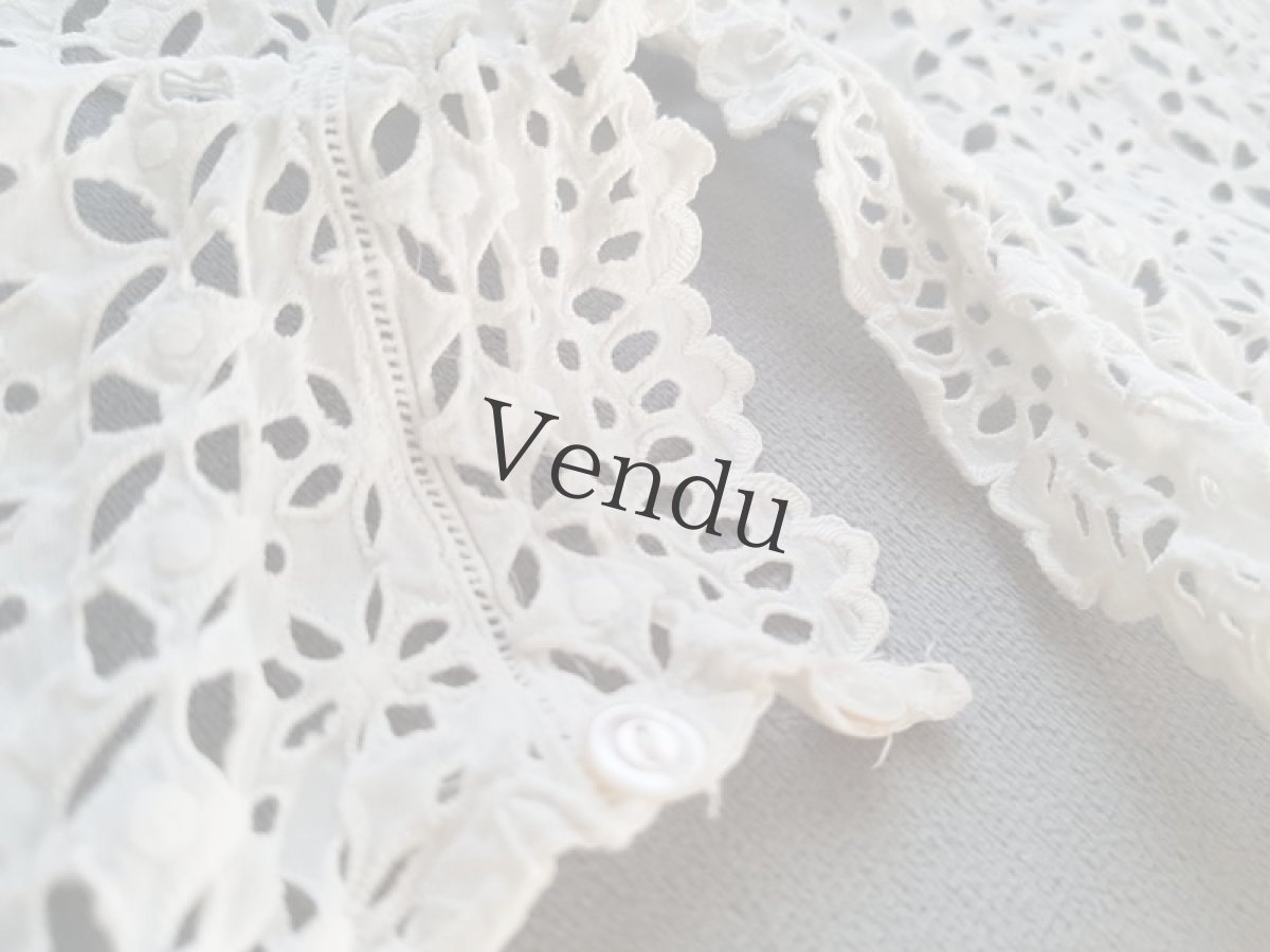 画像8: フランスアンティーク　カットワークのつけ襟／ケープ (8)