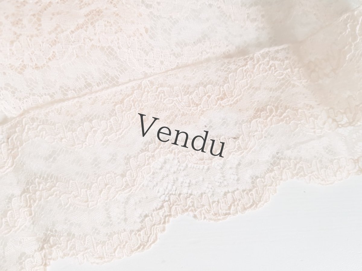 画像6: 【ご予約品】フランスヴィンテージ　ピンクのチュール刺繍レース (6)