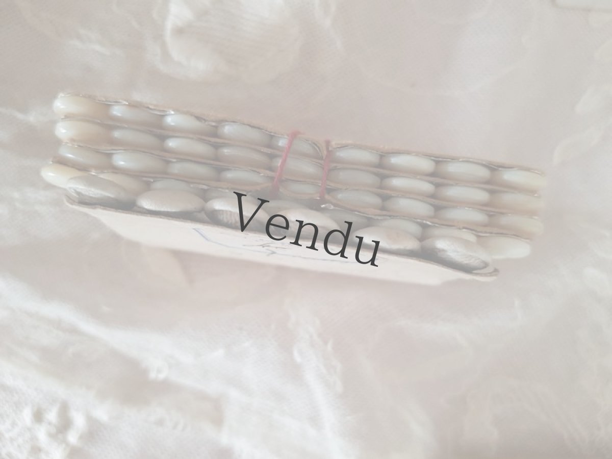 画像5: フランスアンティーク　白い布地ボタンのボタンシート AU LOUVRE PARIS 10mm (5)