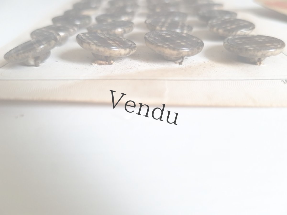 画像5: フランスアンティーク　コロゾのチェック柄ボタンシート13mm (5)