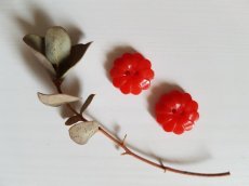 画像1: フランスヴィンテージ　ちいさな赤いお花のボタン 14mm 2個セット (1)