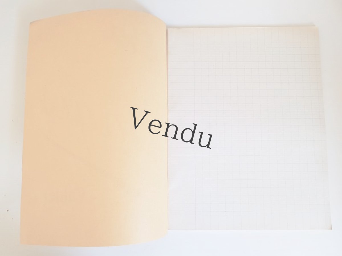 画像3: フランスヴィンテージ　ノート 50 Pages Cahier Jaune (3)