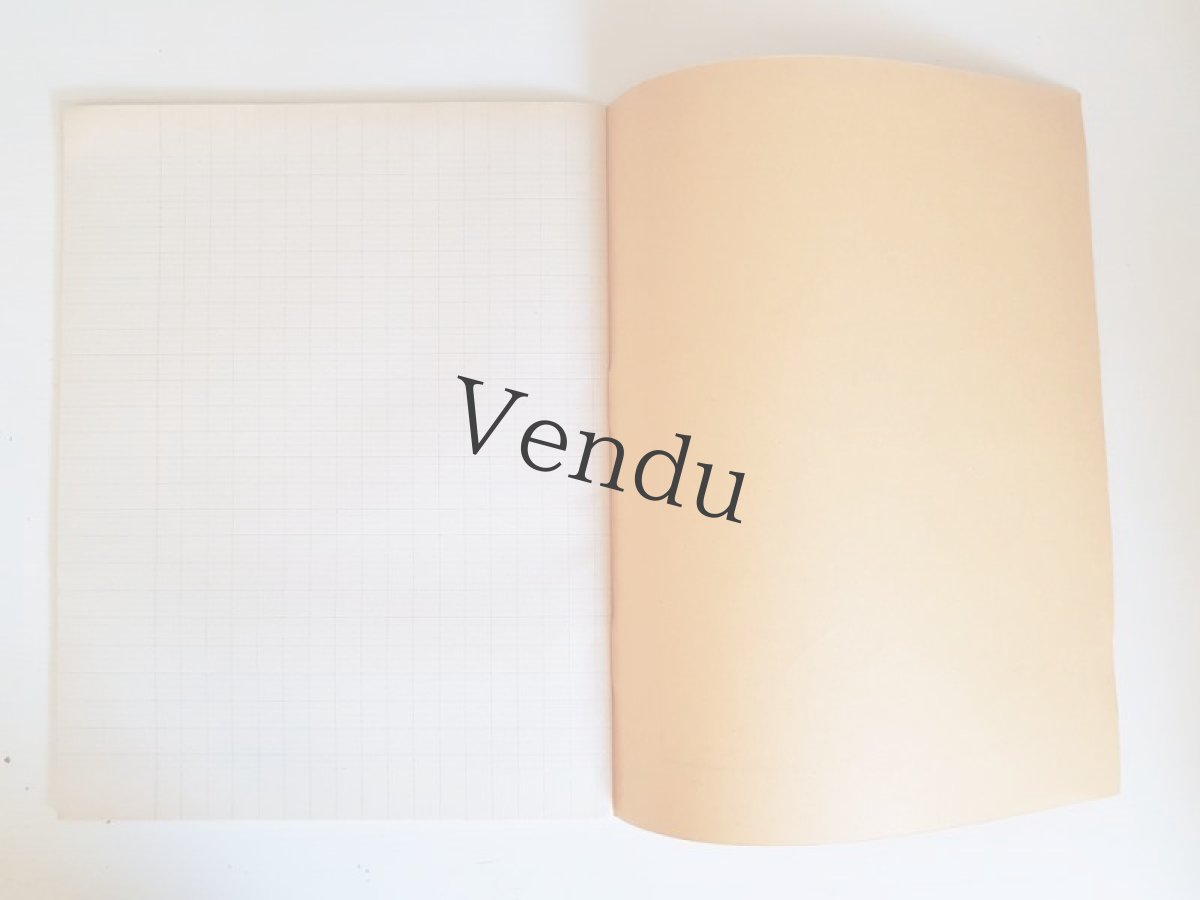 画像6: フランスヴィンテージ　ノート 50 Pages Cahier Jaune (6)