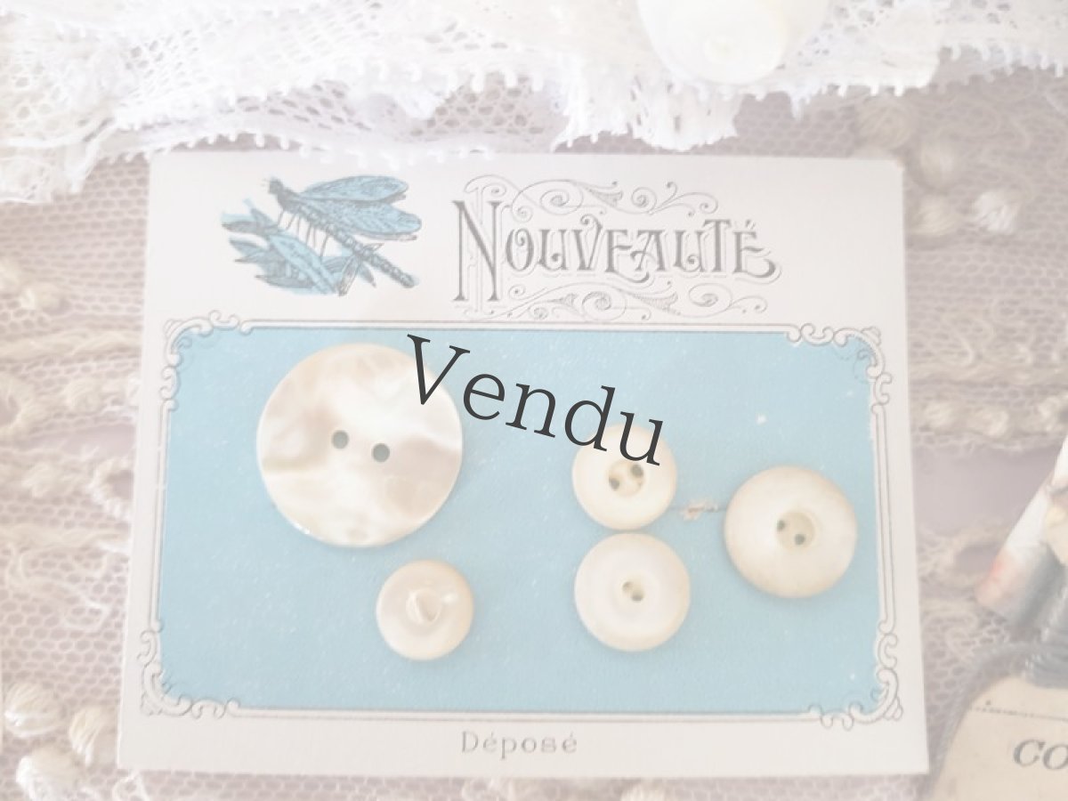 画像7: フランスヴィンテージ　メルスリーセット《Blanc》 (7)