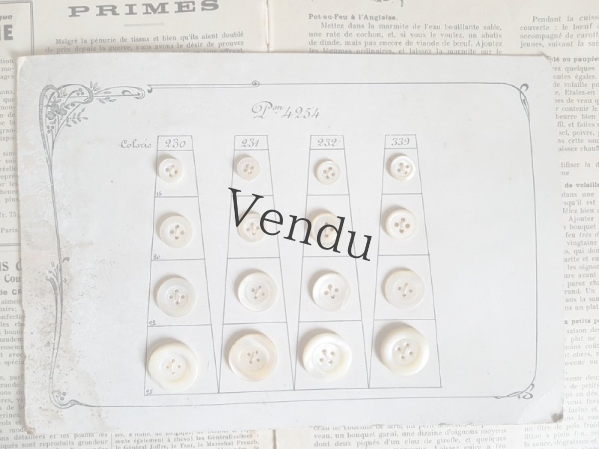 画像2: フランスアンティーク　貝ボタンサンプルシート (2)