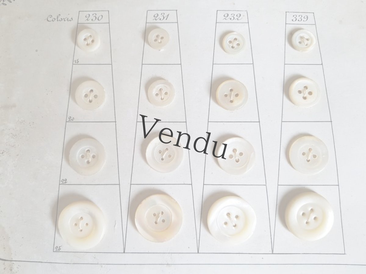 画像3: フランスアンティーク　貝ボタンサンプルシート (3)