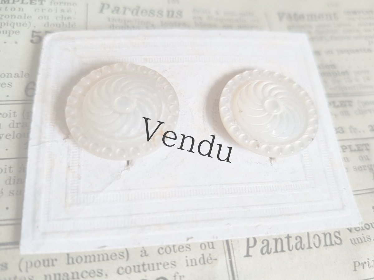 画像3: フランスアンティーク　貝のカフスボタン (3)