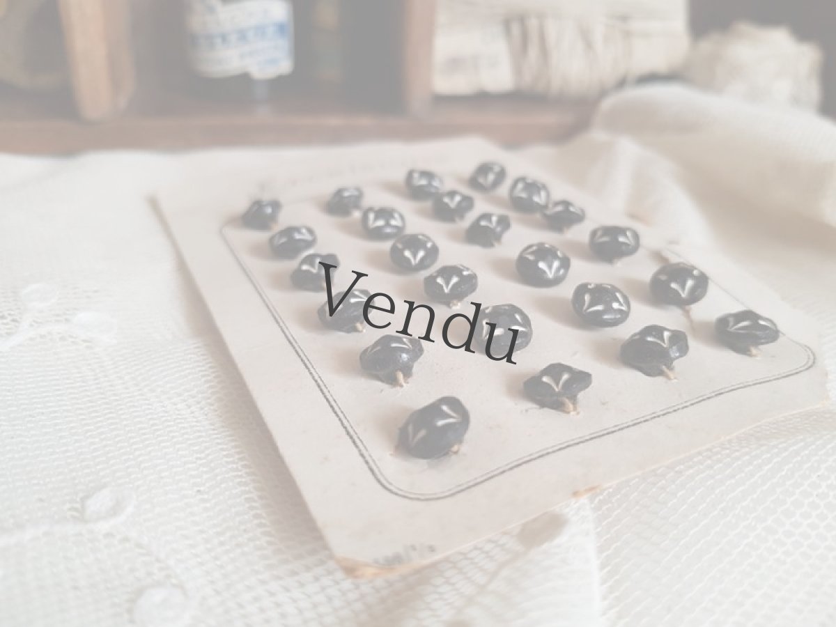 画像4: フランスアンティーク　エクセルシオールなボタンシート 8mm (4)