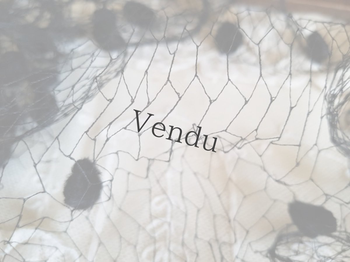 画像10: フランスアンティーク　ボワルノワール ２セット (10)