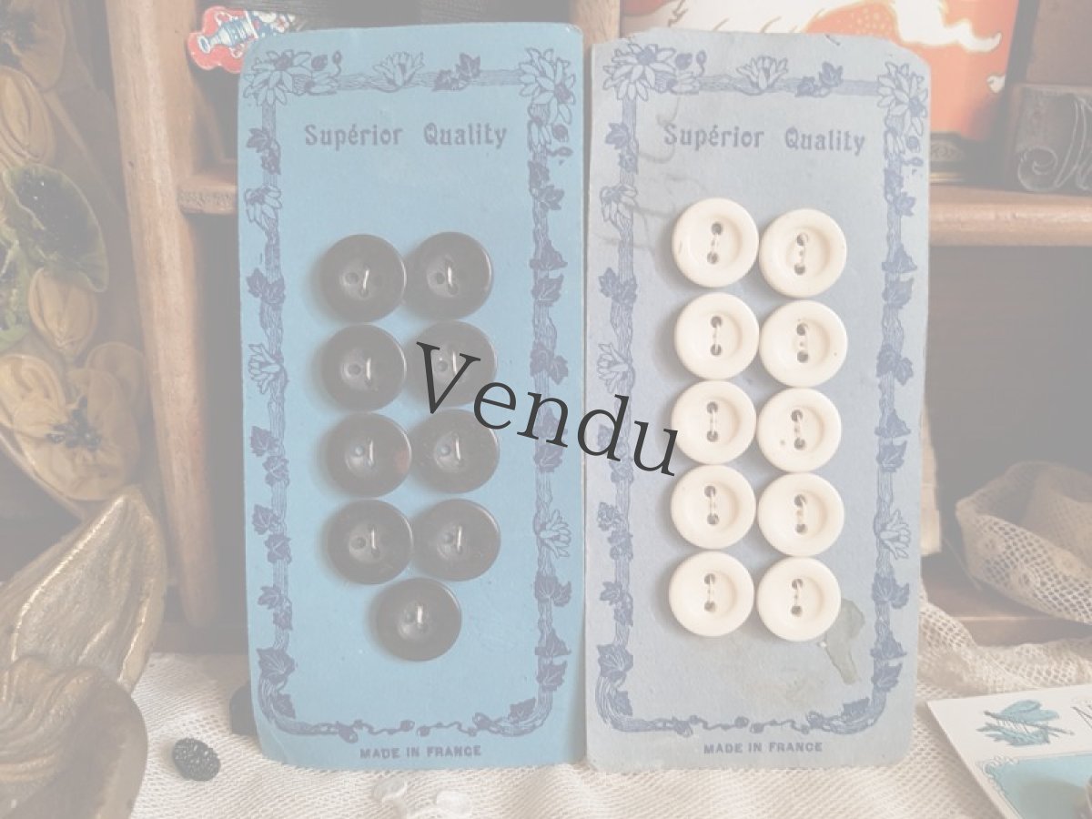 画像5: フランスアンティーク　ボタンシートセット Blanc et Noir 15mm (5)