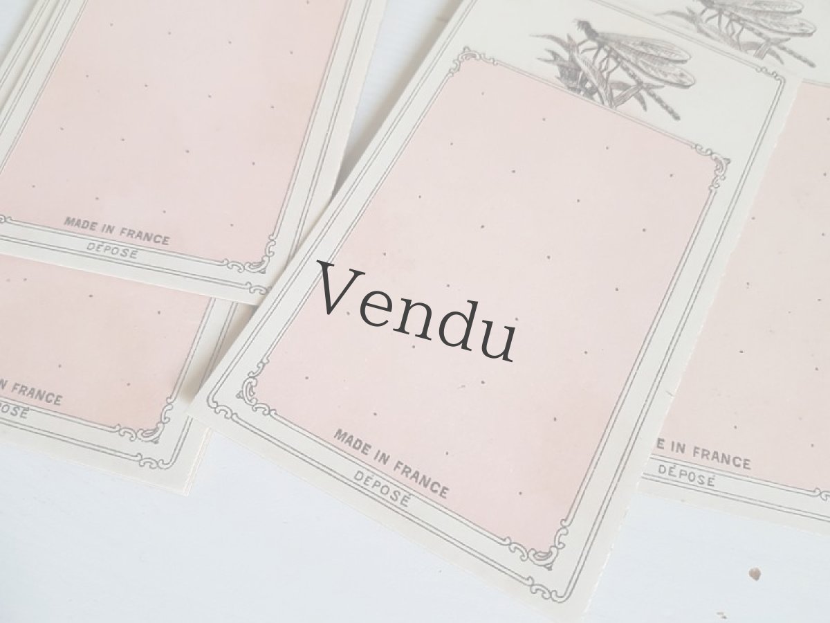 画像5: フランスアンティーク　未使用ボタンシート　トンボ (5)