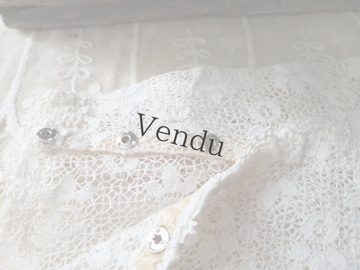画像5: フランスヴィンテージ　お花刺繍レースのお袖セット (5)