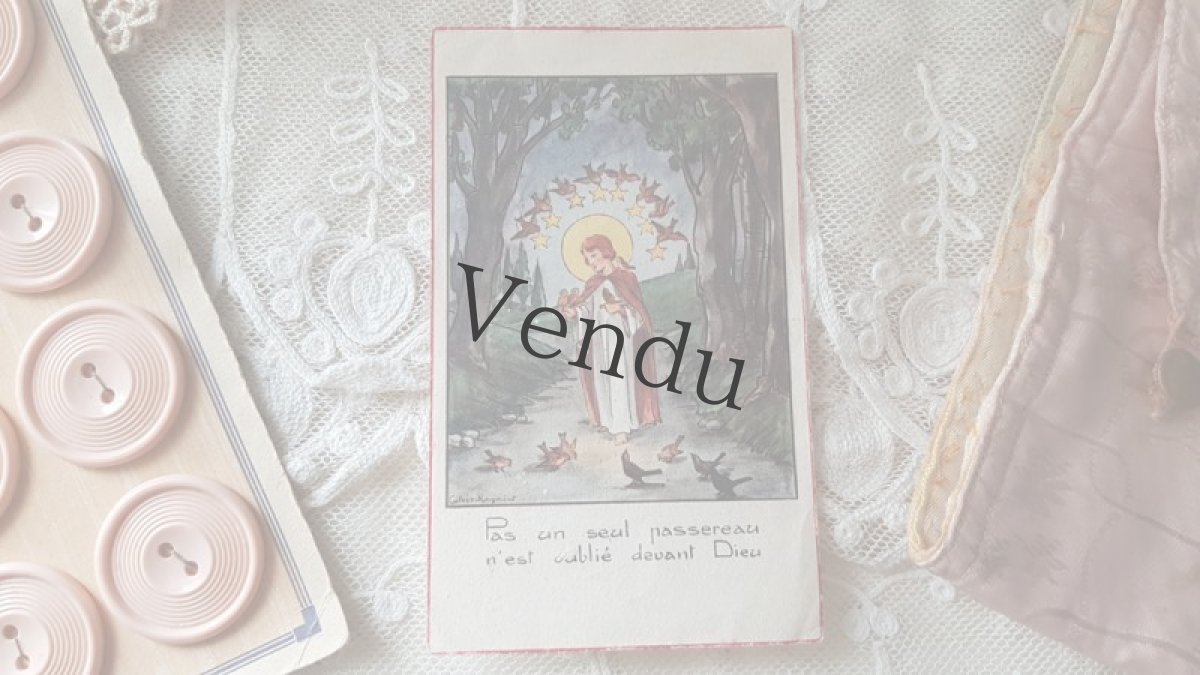 画像10: フランスヴィンテージ　メルスリーセット《Rose et Bleu marine》 (10)